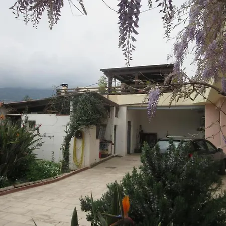 Su Pasu 3* אורוסיי